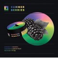 Табак Absolem Medium Summer Berries (Лесные ягоды) 100 грамм