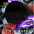 Табак Heven Twin Berry (Малина Черника) 100 грамм
