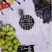 Суміш Daly Code - Grape Britain (Виноград із м'ятою) 100 грам