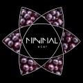 Табак Minimal Acai (Ягоды Асаи) 50 грамм