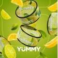 Табак Yummy Мохито 100 грамм