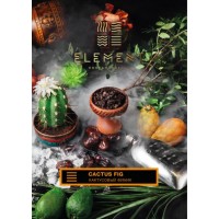 Тютюн ELEMENT Земля Cactus Fig (Кактусовий фінік) 200 грам