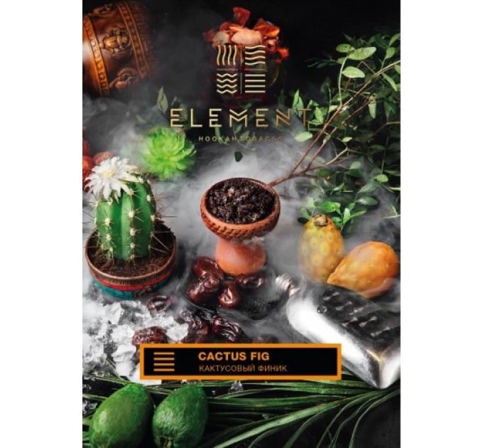 Тютюн ELEMENT Земля Cactus Fig (Кактусовий фінік) 200 грам