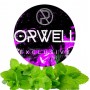 Табак Orwell Strong Mint (Мята) 100 грамм