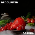 Табак DARKUA Red Jupiter (Красная Смородина Клубника Красный Виноград) 100 грамм