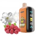 Одноразовая Pod система Elf Bar Elf Bar GH23000 Jasmine Raspberry