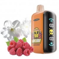 Одноразовая Pod система Elf Bar Elf Bar GH23000 Jasmine Raspberry