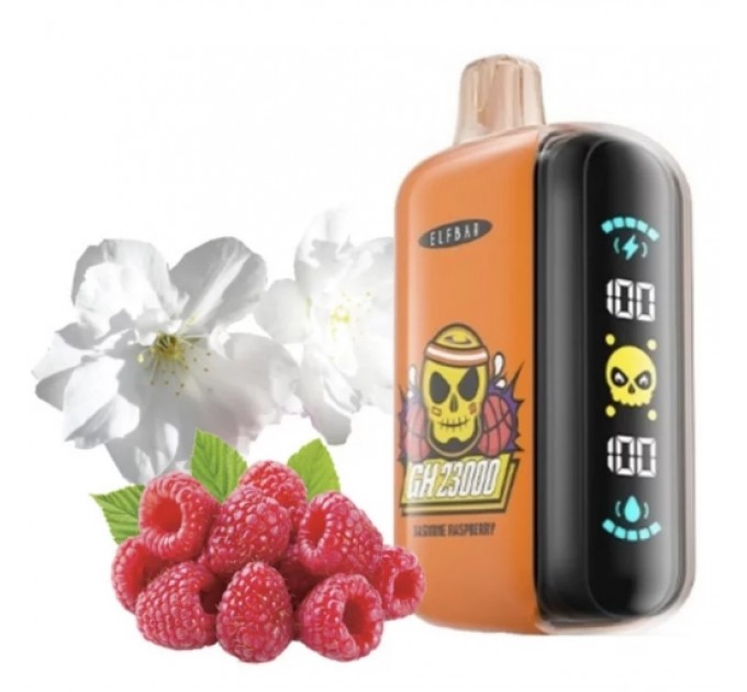 Одноразовая Pod система Elf Bar Elf Bar GH23000 Jasmine Raspberry
