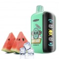 Одноразовая Pod система Elf Bar Elf Bar GH23000 Watermelon lce