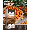 Тютюн Fusion Premium Burley (Обліпиха) 100 грам
