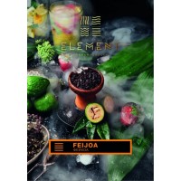 Тютюн ELEMENT Земля Feijoa (Фейхоа) 100 грам Тютюн ELEMENT Земля Feijoa (Фейхоа) 100 грам