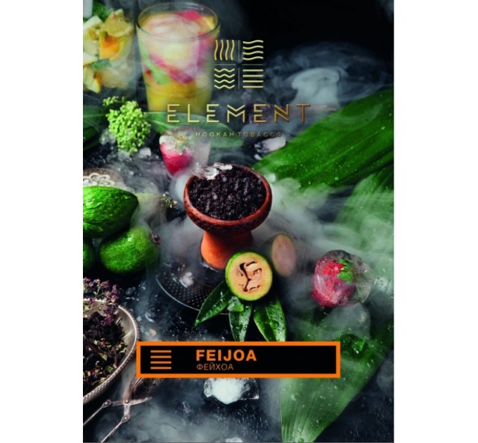 Тютюн ELEMENT Земля Feijoa (Фейхоа) 100 грам