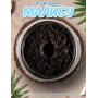Тютюн #САМЗВАРИЛ Малібу 100 грам