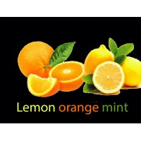 Табак Magic Smoke Lemon orange mint (Лимон, Апельсин, Мята) 100 грамм