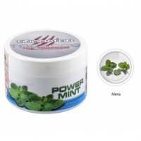 Тютюн Brodator Power Mint (Сила М'яти) 200 грам Тютюн Brodator Power Mint (Сила М'яти) 200 грам