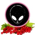 Табак Phantom Medium Red Currant (Красная Смородина) 100 грамм