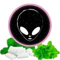 Табак Phantom Soft Spearmint (Мята Жвачка) 50 грамм