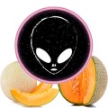 Табак Phantom Soft Honey Melon (Дыня) 50 грамм