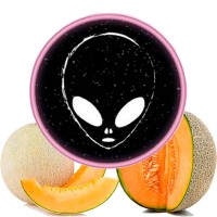Тютюн Phantom Soft Honey Melon (Диня) 50 грам