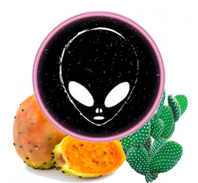 Табак Phantom Soft Cactus Milk (Кактус) 50 грамм