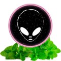 Табак Phantom Soft Mix Mint (Микс Мяты) 50 грамм