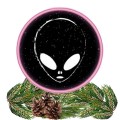 Табак Phantom Soft Fresh Secret (Хвоя) 50 грамм
