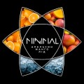 Табак Minimal Ice Orange Mango (Лед Апельсин Манго) 50 грамм