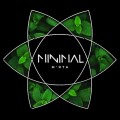 Табак Minimal Mint (Мята) 50 грамм