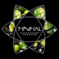 Табак Minimal Exotic Lemonade (Экзотик Лимонад) 50 грамм