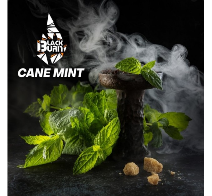 Тютюн Black Burn Cane Mint (Тростникова м'ята) 100 грам
