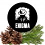 Табак Enigma Elixir (Хвоя) 40 грамм