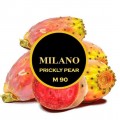 Тютюн Milano Prickly Pear M90 (Кактус) 100 грам