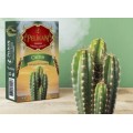 Тютюн Pelikan Cactus (Кактус) 50 грам