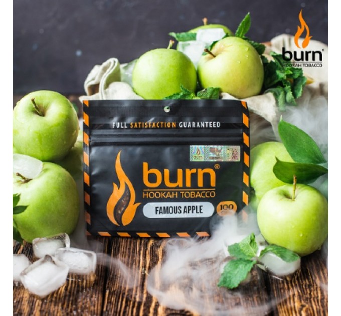 Табак Burn Famous apple (Ледяное яблоко) 100 грамм