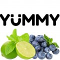 Табак Yummy Лайм Черника 250 грамм