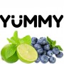 Тютюн Yummy Лайм Чорниця 100 грам