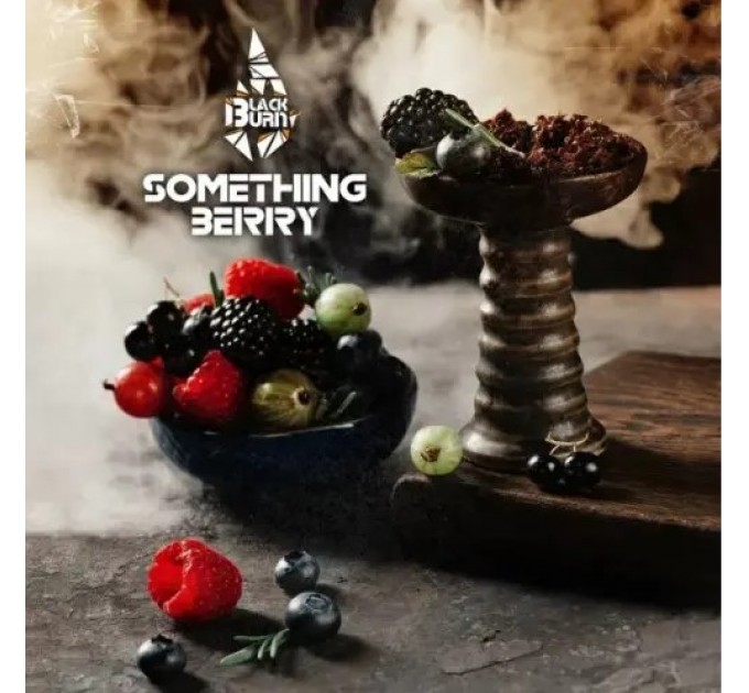 Тютюн Black Burn Something Berry (Щось Ягідне) 25 грам