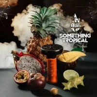Тютюн Black Burn Something Tropical (Щось Тропічне) 25 грам