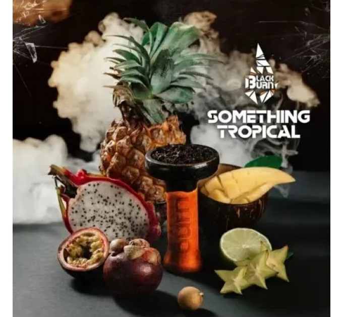 Тютюн Black Burn Something Tropical (Щось Тропічне) 25 грам