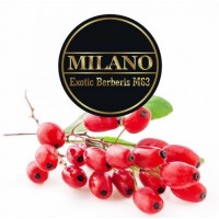 Тютюн Milano Exotic Barbarie М63 (Екзотик Барбарис) 100 грам