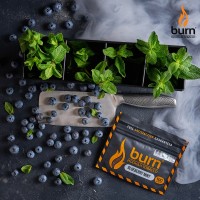Табак Burn Blueberry Mint (Черника мята) 100 грамм Табак Burn Blueberry Mint (Черника мята) 100 грамм