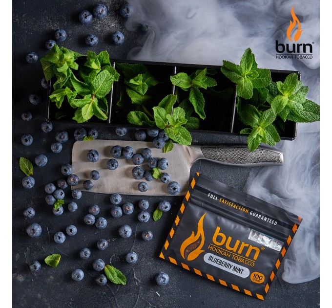 Табак Burn Blueberry Mint (Черника мята) 100 грамм