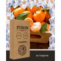 Табак Fusion Classic Ice Tangerine (Ледяной Мандарин) 100 грамм