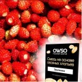 Бестабачная смесь для кальяна OWSO Земляника
