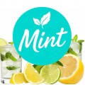 Безникотиновая смесь Mint Мохито 200 грамм