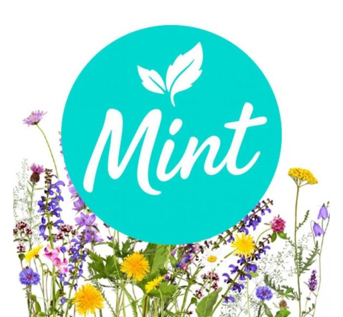 Безнікотинова суміш Mint Лічі Квітковий 200 грам
