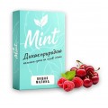 Безникотиновая смесь Mint Вишня Малина 50 грамм