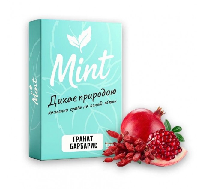 Безникотиновая смесь Mint Барбарис Гранат 50 грамм