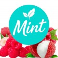 Безникотиновая смесь Mint Личи Малина 200 грамм